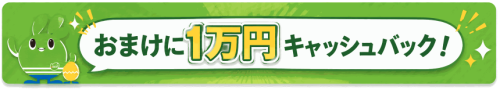 ヘヤワリ-1万円キャッシュバック